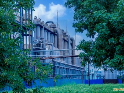 德州生物产业强势崛起：功能糖撬动千亿级“产业森林”