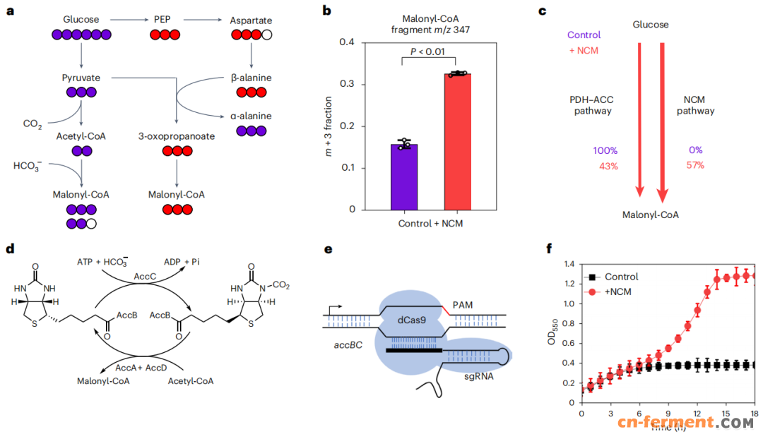 （来源：Nature Catalysis）