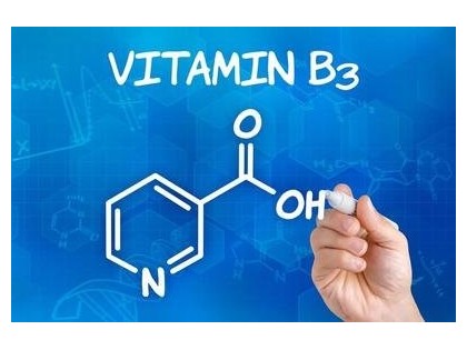 兄弟科技：公司目前维生素B3年产能为13000吨