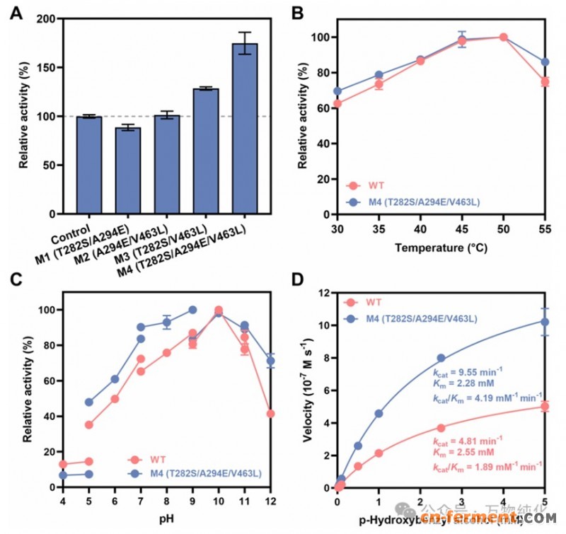 天麻素核心酶挖掘2