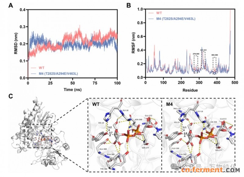 天麻素核心酶挖掘3