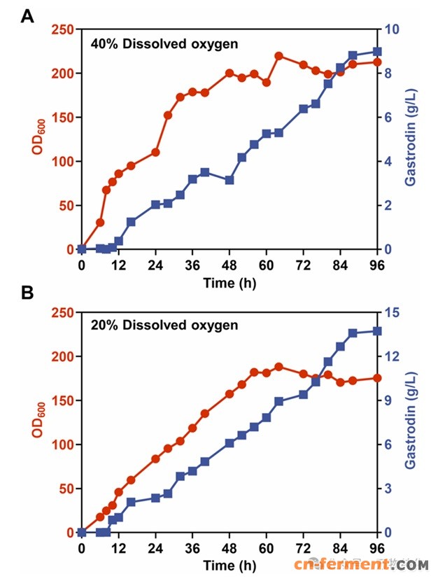 天麻素发酵曲线