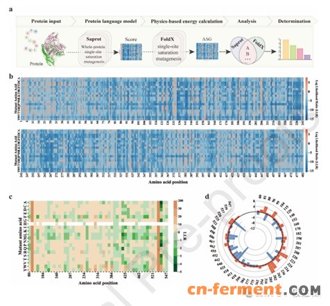 牛磺酸基因挖掘