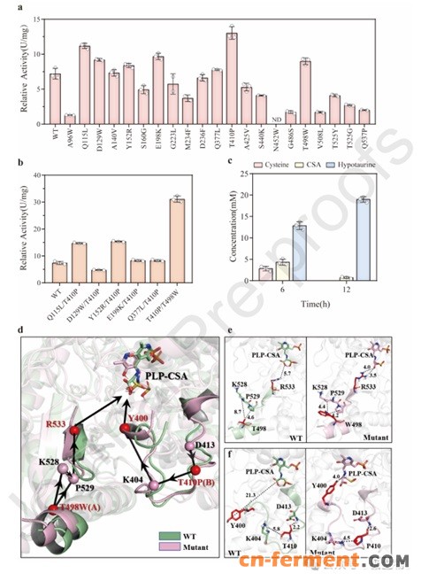 牛磺酸基因挖掘2