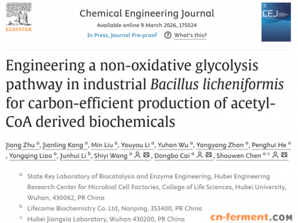 湖北大学陈守文教授团队实现乙酰辅酶A衍生化学品的碳高效生产