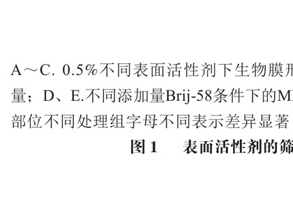 安徽工程大学刘艳教授等：表面活性剂介导的膜透化对枯草芽孢杆菌