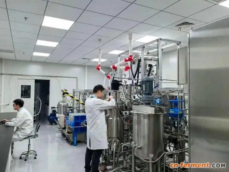 武汉嘉睿康实验室发酵罐