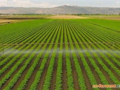 Robigo利用CRISPR和RNAi技术改造微生物,推出既能媲美化农药效、又能保护环境的新选择