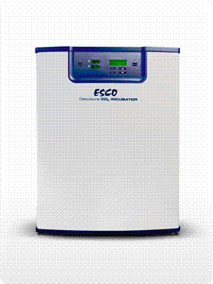 CO2培养箱 （IR,高温消毒）